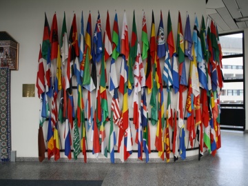 Organizácia Spojených Národov