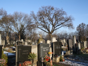 Ústredný cintorín