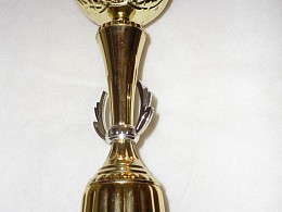 Turnajový pohár